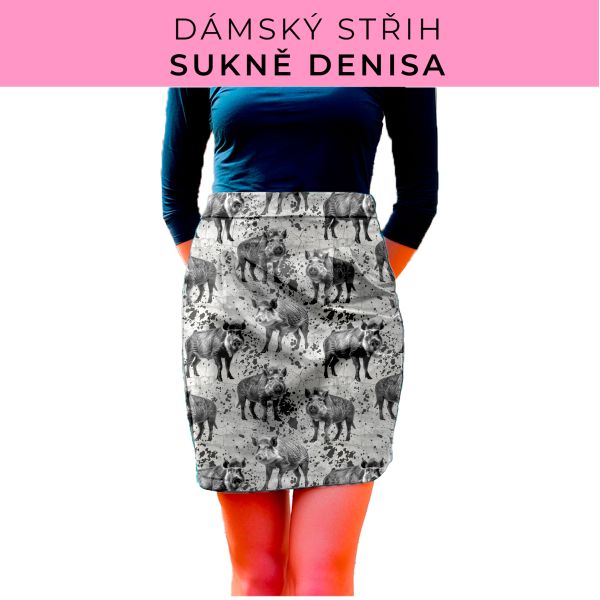 Dámský střih - Dámská sukně Denisa