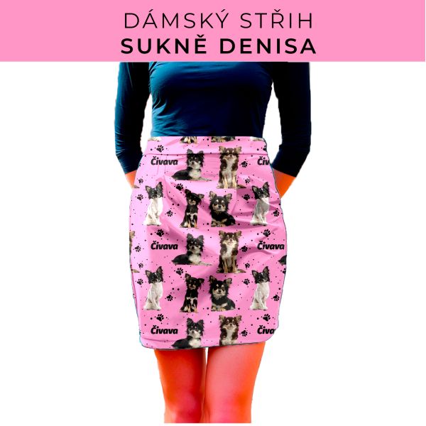Dámský střih - Dámská sukně Denisa