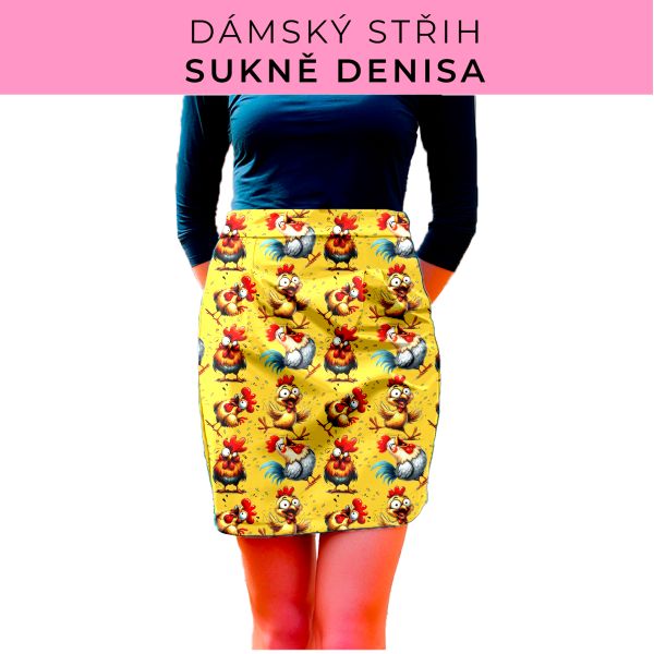 Dámský střih - Dámská sukně Denisa