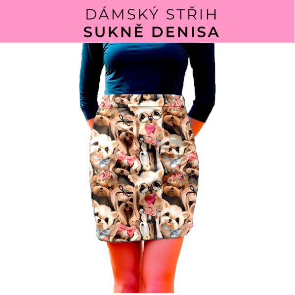 Dámský střih - Dámská sukně Denisa