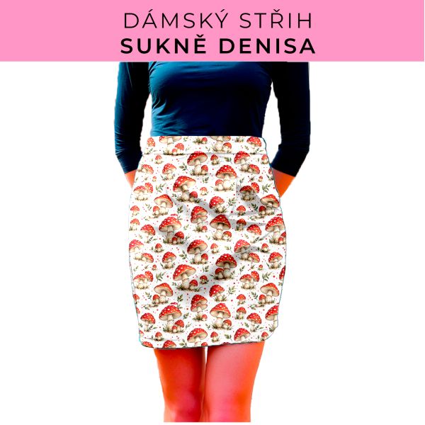 Dámský střih - Dámská sukně Denisa