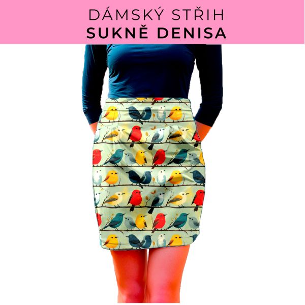 Dámský střih - Dámská sukně Denisa