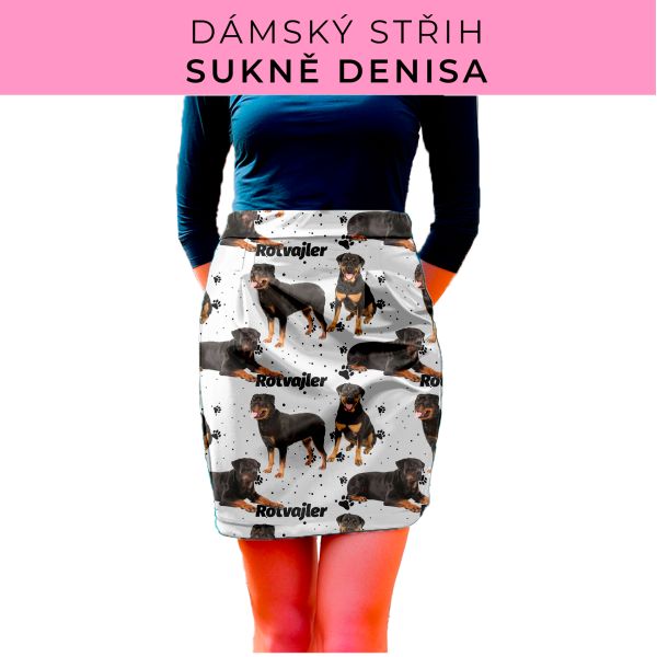 Dámský střih - Dámská sukně Denisa