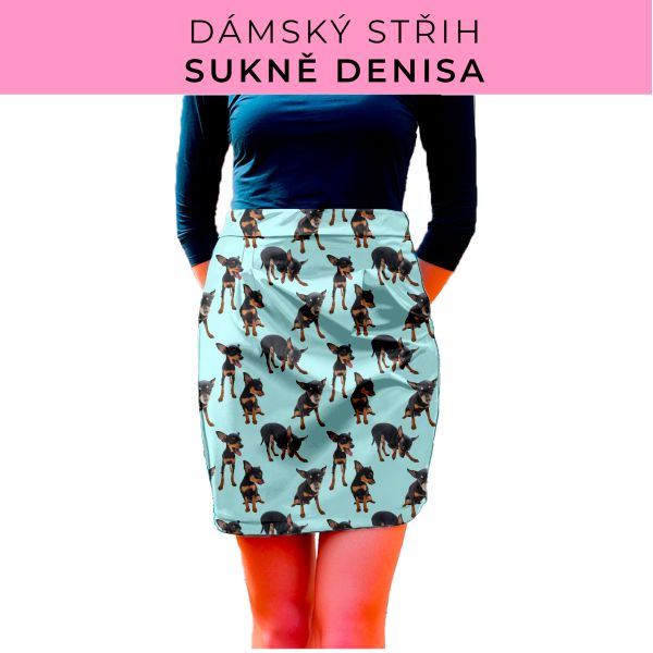 Dámský střih - Dámská sukně Denisa