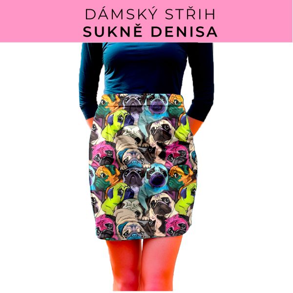 Dámský střih - Dámská sukně Denisa