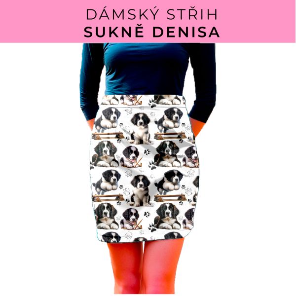 Dámský střih - Dámská sukně Denisa