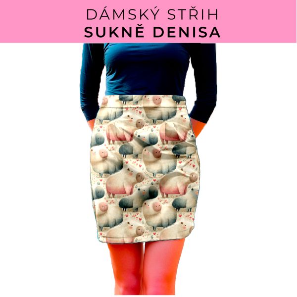 Dámský střih - Dámská sukně Denisa