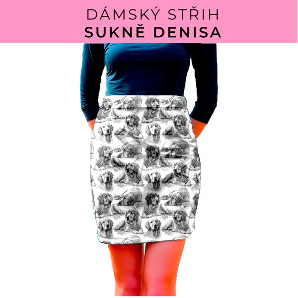 Dámský střih - Dámská sukně Denisa