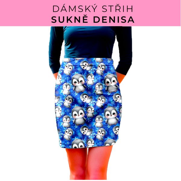 Dámský střih - Dámská sukně Denisa