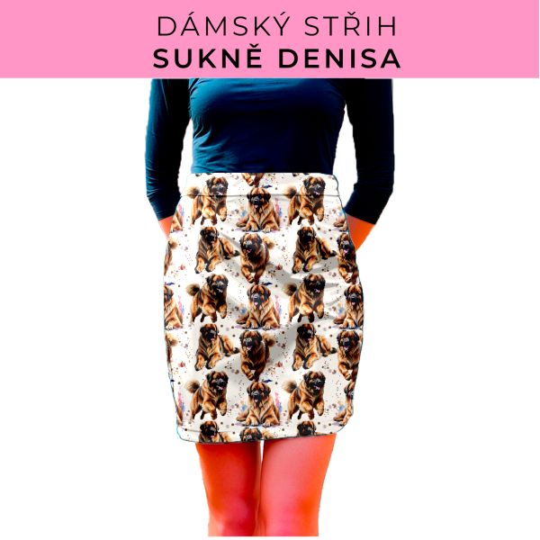 Dámský střih - Dámská sukně Denisa