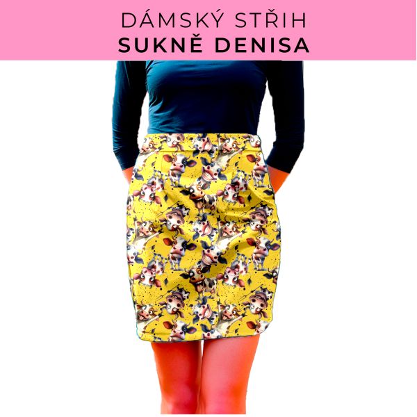 Dámský střih - Dámská sukně Denisa