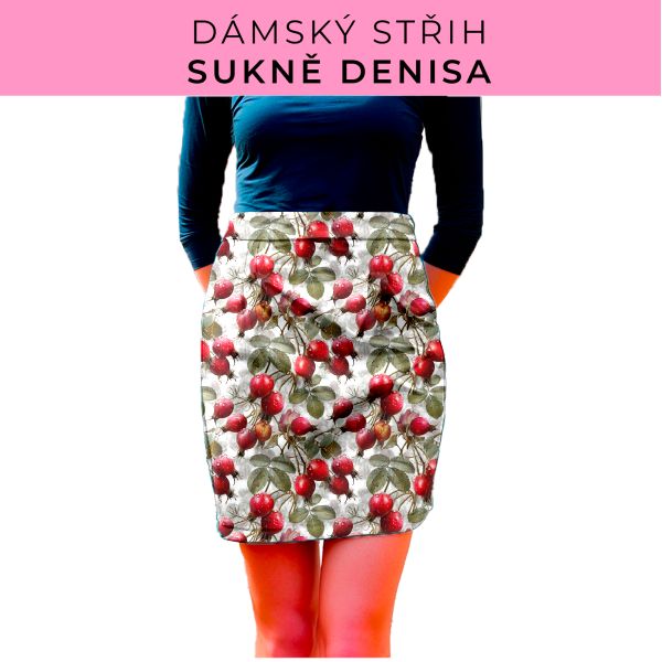Dámský střih - Dámská sukně Denisa