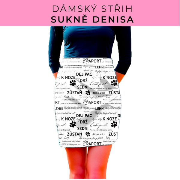 Dámský střih - Dámská sukně Denisa