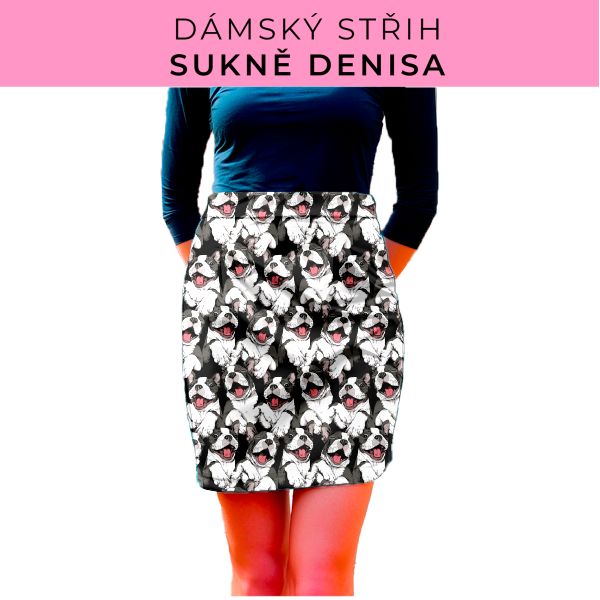 Dámský střih - Dámská sukně Denisa