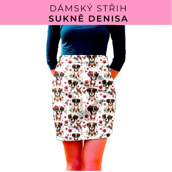 Dámský střih - Dámská sukně Denisa