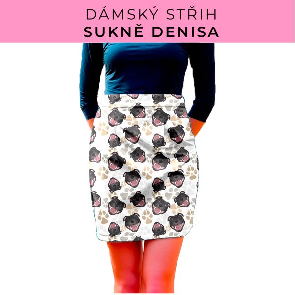 Dámský střih - Dámská sukně Denisa