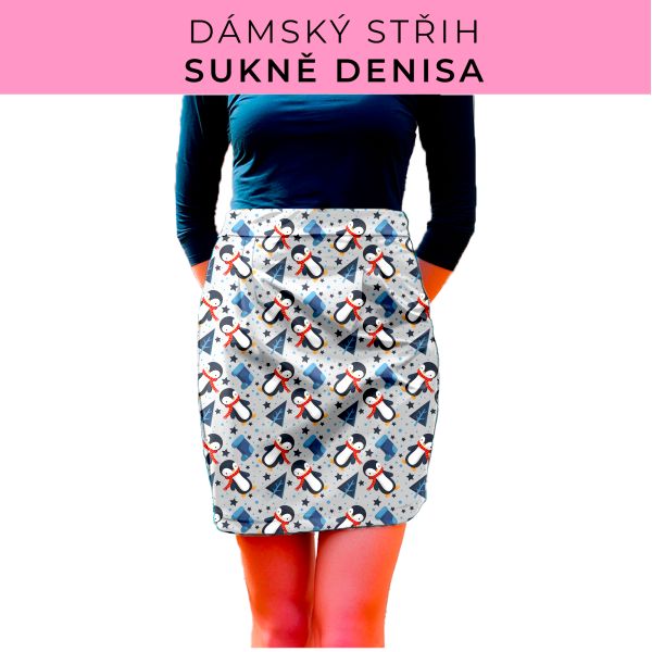 Dámský střih - Dámská sukně Denisa