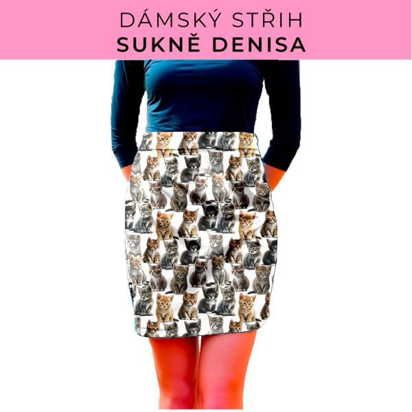 Dámský střih - Dámská sukně Denisa