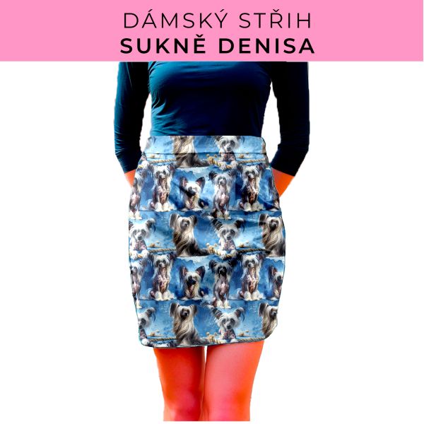 Dámský střih - Dámská sukně Denisa