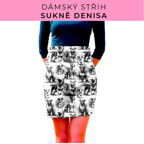 Dámský střih - Dámská sukně Denisa