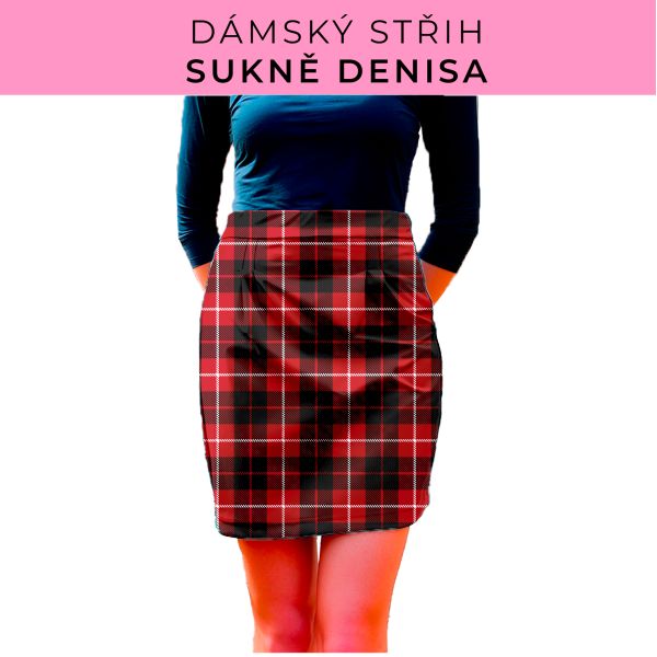 Dámský střih - Dámská sukně Denisa