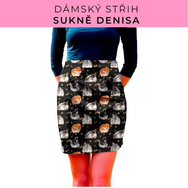 Dámský střih - Dámská sukně Denisa