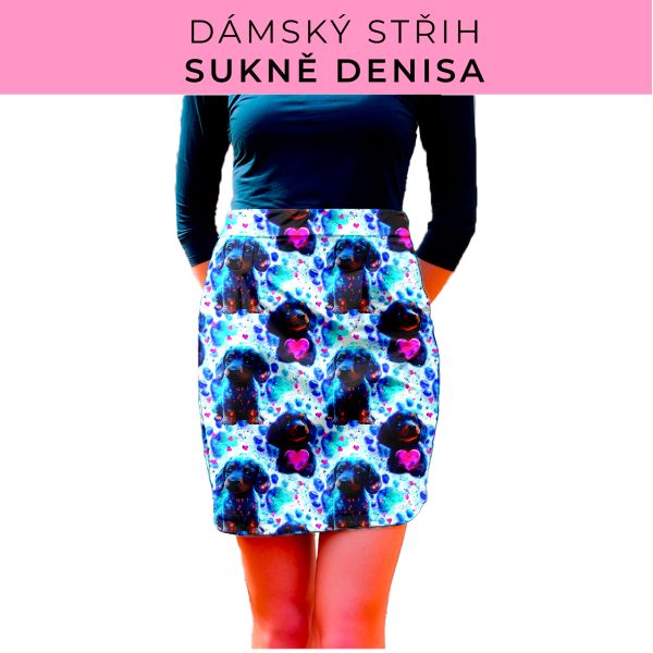 Dámský střih - Dámská sukně Denisa