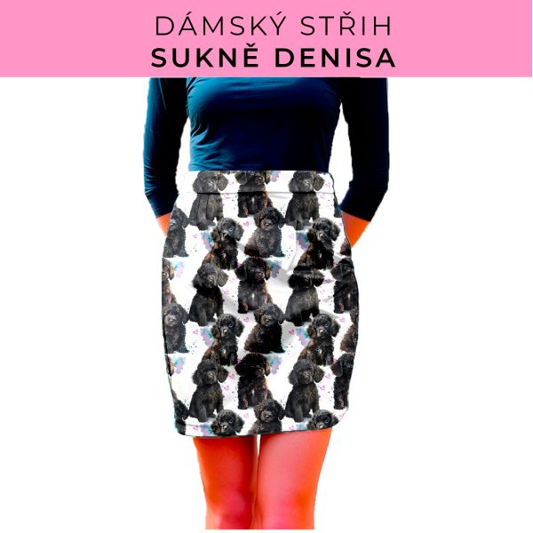 Dámský střih - Dámská sukně Denisa