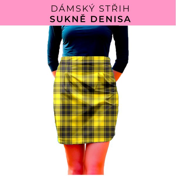 Dámský střih - Dámská sukně Denisa