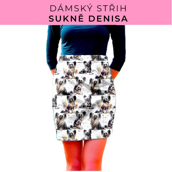 Dámský střih - Dámská sukně Denisa