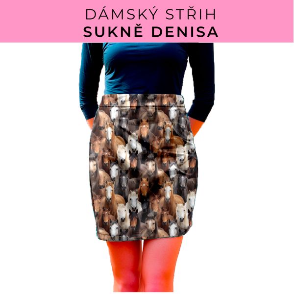 Dámský střih - Dámská sukně Denisa