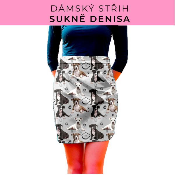 Dámský střih - Dámská sukně Denisa