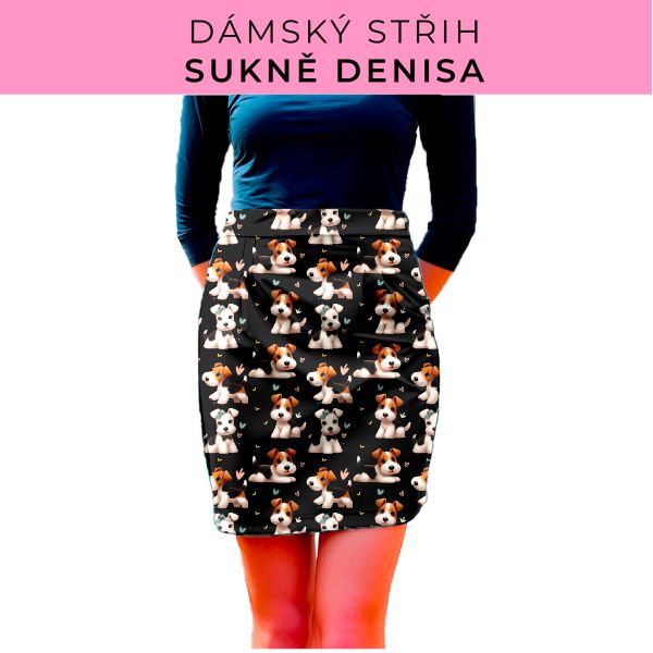 Dámský střih - Dámská sukně Denisa