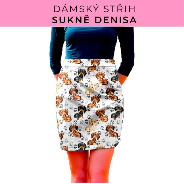 Dámský střih - Dámská sukně Denisa