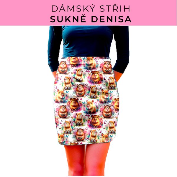 Dámský střih - Dámská sukně Denisa
