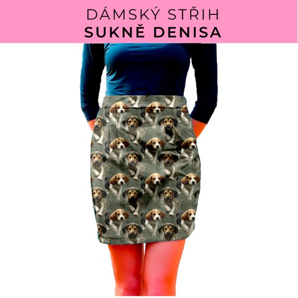 Dámský střih - Dámská sukně Denisa