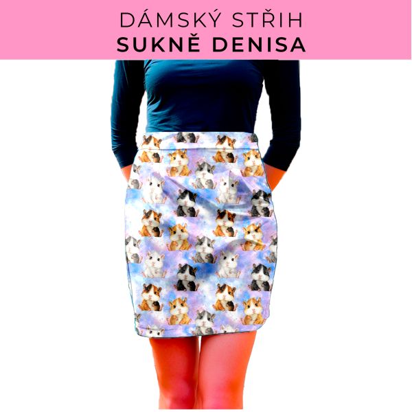 Dámský střih - Dámská sukně Denisa