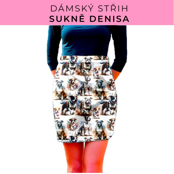 Dámský střih - Dámská sukně Denisa
