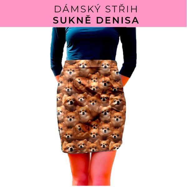 Dámský střih - Dámská sukně Denisa