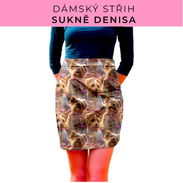 Dámský střih - Dámská sukně Denisa