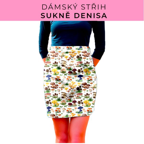 Dámský střih - Dámská sukně Denisa