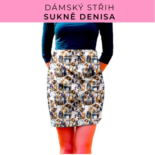 Dámský střih - Dámská sukně Denisa