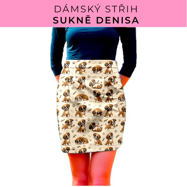 Dámský střih - Dámská sukně Denisa