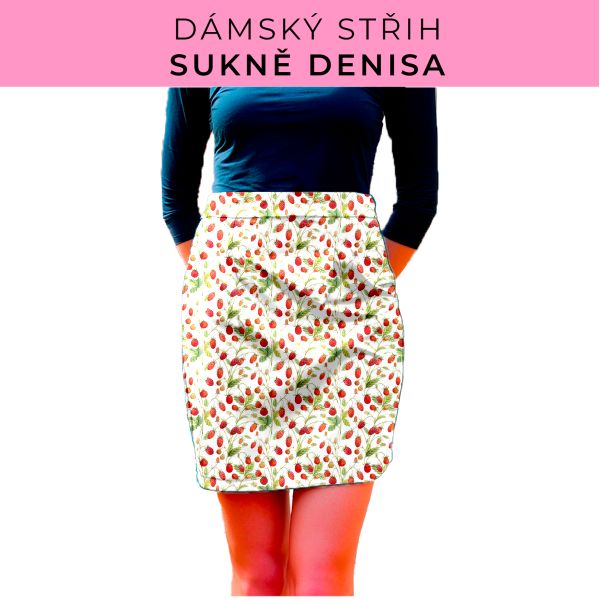Dámský střih - Dámská sukně Denisa