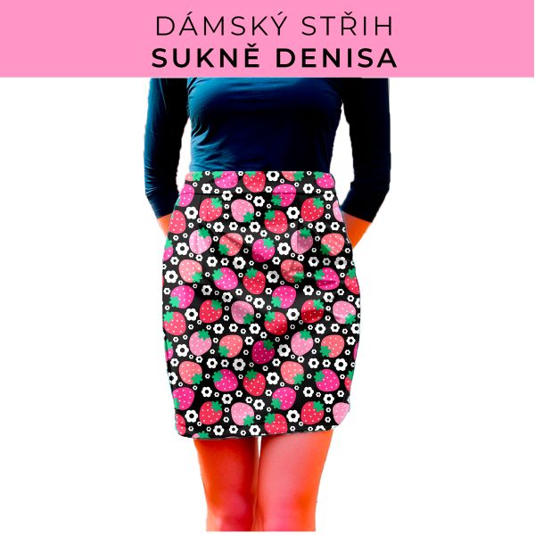 Dámský střih - Dámská sukně Denisa