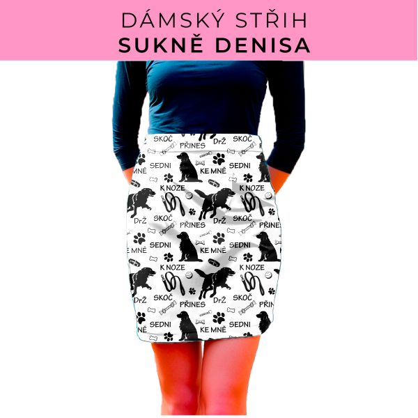 Dámský střih - Dámská sukně Denisa
