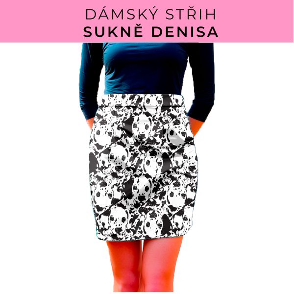 Dámský střih - Dámská sukně Denisa