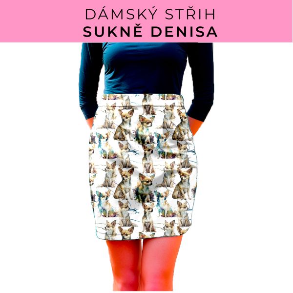 Dámský střih - Dámská sukně Denisa