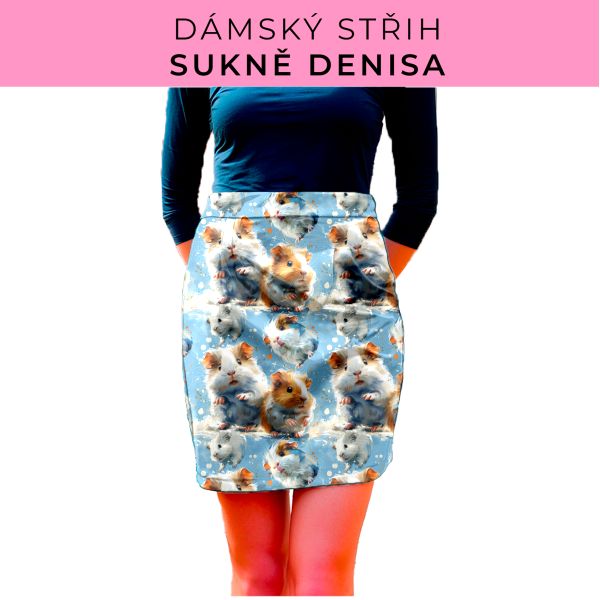 Dámský střih - Dámská sukně Denisa