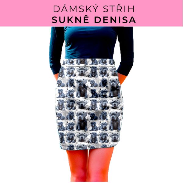 Dámský střih - Dámská sukně Denisa